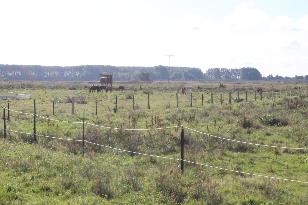 Strandhaus Glowe Rom bilde